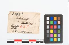 Etikett zu Gefäßhenkelattasche (NHMW-PRAE-025623)